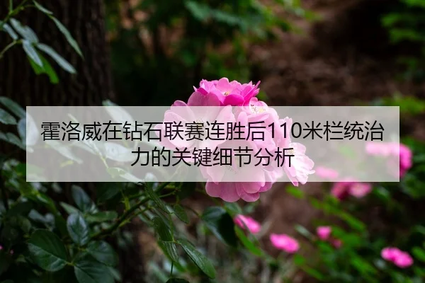 霍洛威在钻石联赛连胜后110米栏统治力的关键细节分析