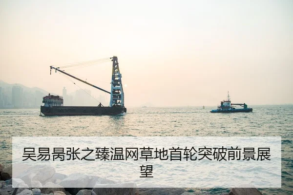 吴易昺张之臻温网草地首轮突破前景展望