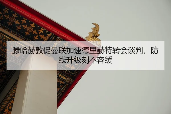 teng-ha-he-dun-cu-man-lian-jia-su-de-li-he-te-zhuan-hui-tan-pan-fang-xian-sheng-ji-ke-bu-rong-huan-3-382.jpg