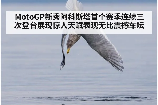 MotoGP新秀阿科斯塔首个赛季连续三次登台展现惊人天赋表现无比震撼车坛
